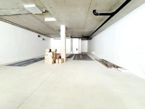 Pronájem obchodního prostoru, Praha - Žižkov, Prokopova, 246 m2
