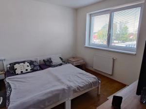 Pronájem bytu 2+kk, Trhové Sviny, Za Pilou, 53 m2