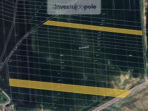 Prodej pole, Žimutice, 1063 m2