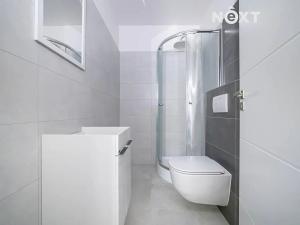 Prodej bytu 2+kk, Praha - Žižkov, Na mokřině, 87 m2