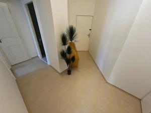 Pronájem bytu 2+kk, Praha - Dejvice, Václavkova, 56 m2