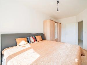 Pronájem bytu 4+kk, Praha - Žižkov, Pod Parukářkou, 109 m2