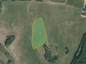 Prodej louky, Morašice, 7883 m2