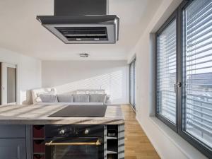 Prodej bytu 2+kk, Praha - Žižkov, U Viktorie, 67 m2