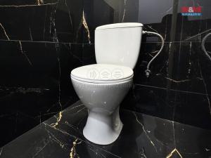 Pronájem obchodního prostoru, Ostrava - Mariánské Hory, 28. října, 83 m2