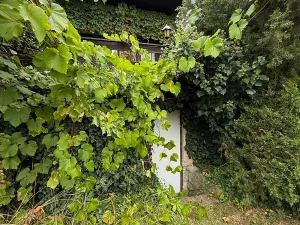 Prodej chaty, Nespeky, 50 m2