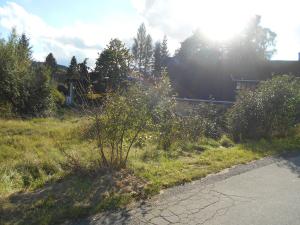 Prodej pozemku, Dolní Podluží, 850 m2