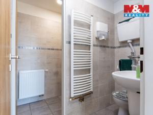 Prodej obchodního prostoru, Fulnek, Palackého, 258 m2