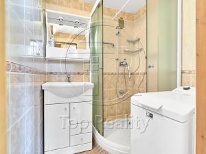 Pronájem bytu 2+1, Chodov, U Porcelánky, 63 m2