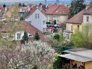 Prodej bytu 2+1, Brno, Zemědělská, 50 m2