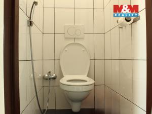 Pronájem bytu 2+1, Praha - Holešovice, Dělnická, 55 m2