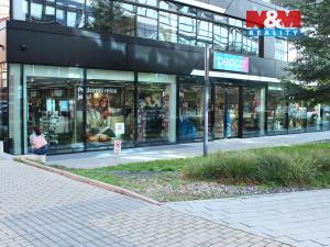 Pronájem bytu 2+1, Praha - Holešovice, Dělnická, 55 m2