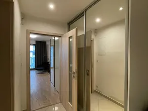 Pronájem bytu 1+kk, Praha - Žižkov, Olšanská, 38 m2