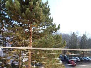 Pronájem bytu 1+1, Děčín, Kamenická, 36 m2