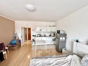 Pronájem bytu 1+kk, Praha - Čimice, Zaječická, 35 m2