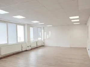Pronájem skladu, Praha - Vysočany, Podkovářská, 264 m2