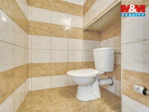Pronájem bytu 2+1, Plzeň - Malesice, Mlýnská, 75 m2