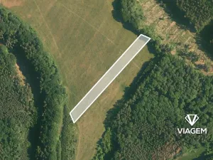 Prodej podílu lesa, Nosálov, 2172 m2