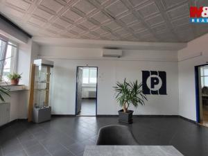 Pronájem kanceláře, Šternberk, Dvorská, 140 m2