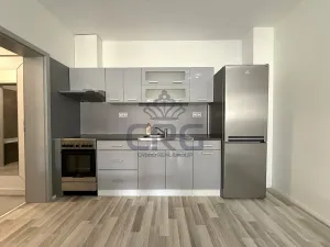 Pronájem bytu 1+kk, Moravany, Višňová, 36 m2