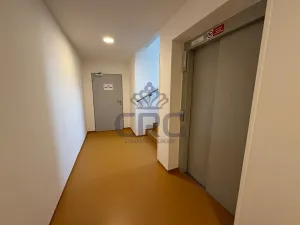 Pronájem bytu 1+kk, Moravany, Višňová, 36 m2