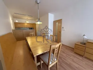Pronájem bytu 2+kk, Brno, Haškova, 87 m2