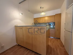 Pronájem bytu 2+kk, Brno, Haškova, 87 m2