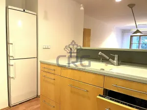 Pronájem bytu 2+kk, Brno, Haškova, 87 m2