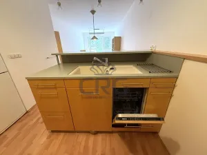 Pronájem bytu 2+kk, Brno, Haškova, 87 m2