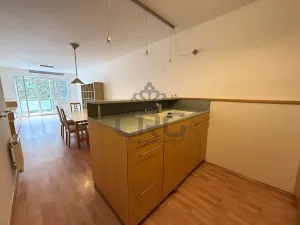 Pronájem bytu 2+kk, Brno, Haškova, 87 m2