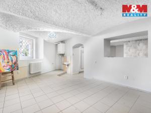 Prodej obchodního prostoru, Liberec - Liberec IV-Perštýn, Na Perštýně, 53 m2