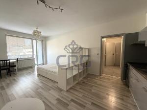 Pronájem bytu 1+kk, Moravany, Višňová, 35 m2