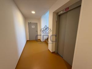 Pronájem bytu 1+kk, Moravany, Višňová, 35 m2