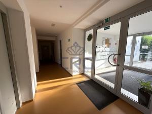 Pronájem bytu 1+kk, Moravany, Višňová, 35 m2