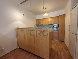 Pronájem bytu 2+kk, Brno - Lesná, Haškova, 87 m2