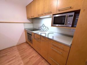 Pronájem bytu 2+kk, Brno - Lesná, Haškova, 87 m2