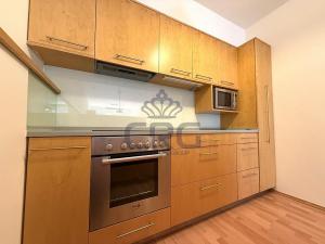 Pronájem bytu 2+kk, Brno - Lesná, Haškova, 87 m2