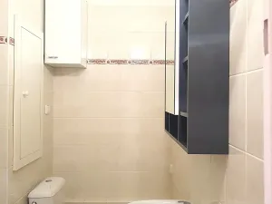 Pronájem bytu 1+1, České Budějovice, Puklicova, 40 m2