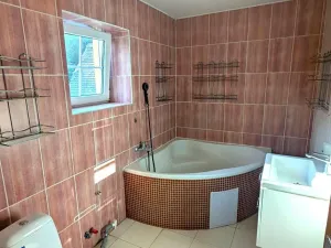 Prodej rodinného domu, Ohníč, 300 m2