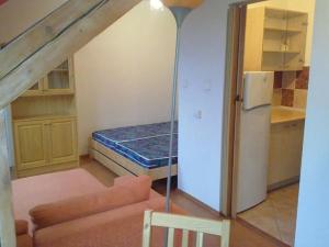Pronájem bytu 1+kk, Praha - Žižkov, U kněžské louky, 32 m2