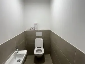 Pronájem bytu 3+kk, Olomouc, Ostrovní, 73 m2