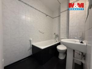 Pronájem bytu 1+1, Karviná - Ráj, Borovského, 42 m2
