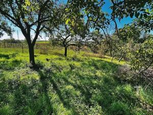 Prodej zahrady, Kyjov, 1046 m2