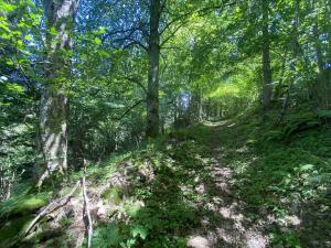 Prodej pozemku, Hartmanice, 3924 m2