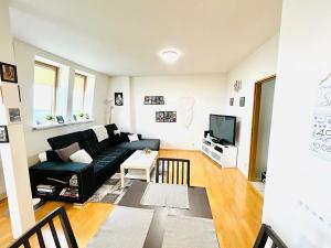 Pronájem bytu 4+kk, Brno, Pavlovská, 99 m2