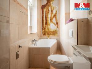 Prodej rodinného domu, Písek - Budějovické Předměstí, Tyršova, 315 m2