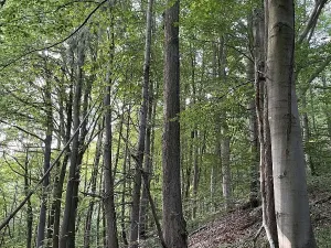 Prodej pozemku, Útěchov, 50152 m2