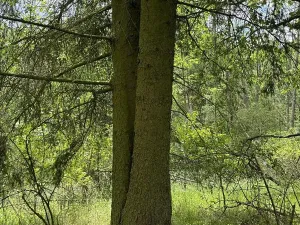 Prodej podílu pozemku, Suchdol, 9027 m2