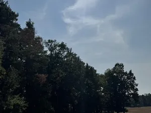 Prodej podílu pozemku, Hradiště, 3093 m2