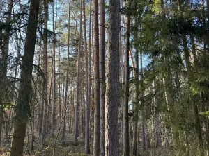 Prodej pozemku, Slabčice, 13278 m2
